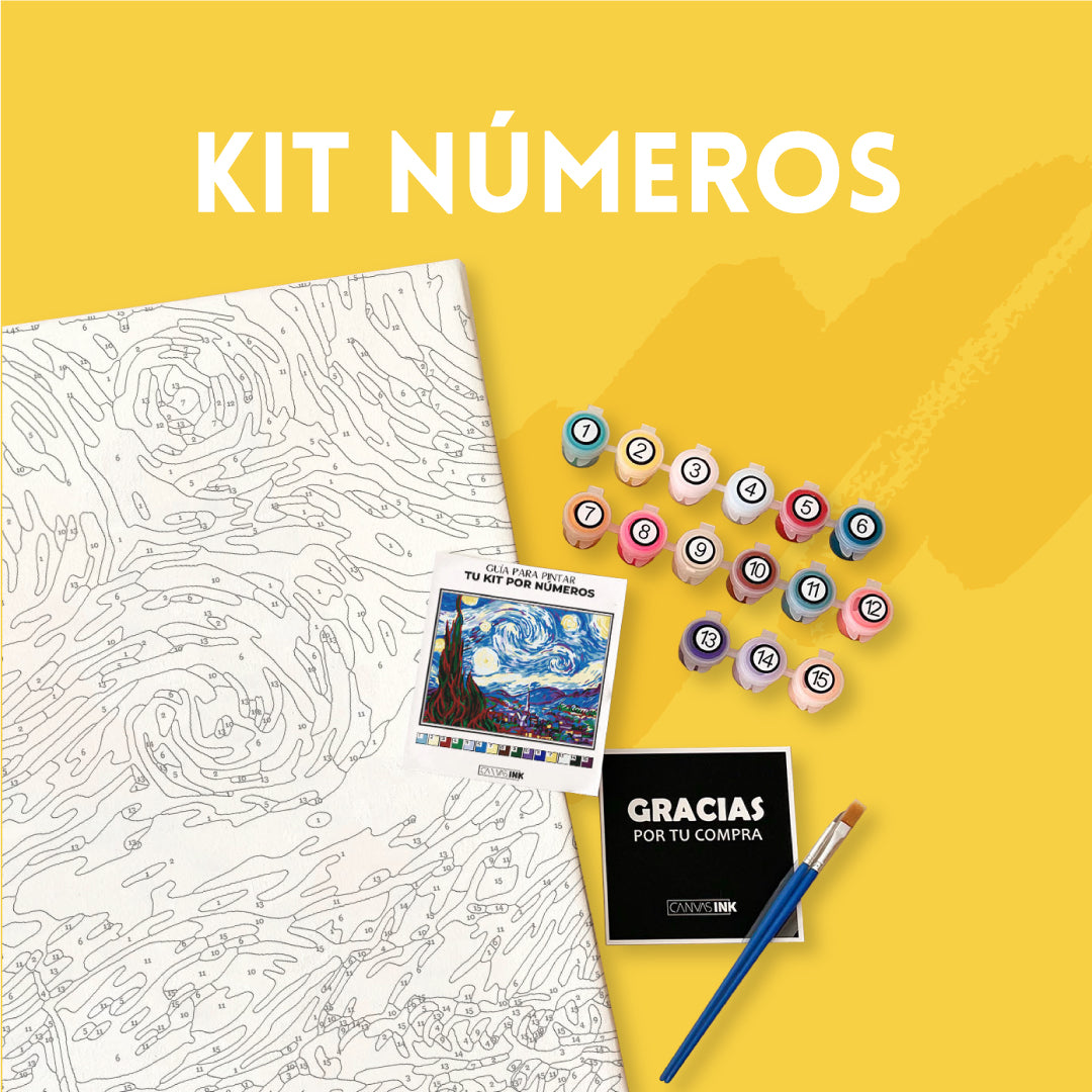 Kit Pinta por Números