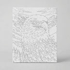 Kit Números – Aguila – Realista