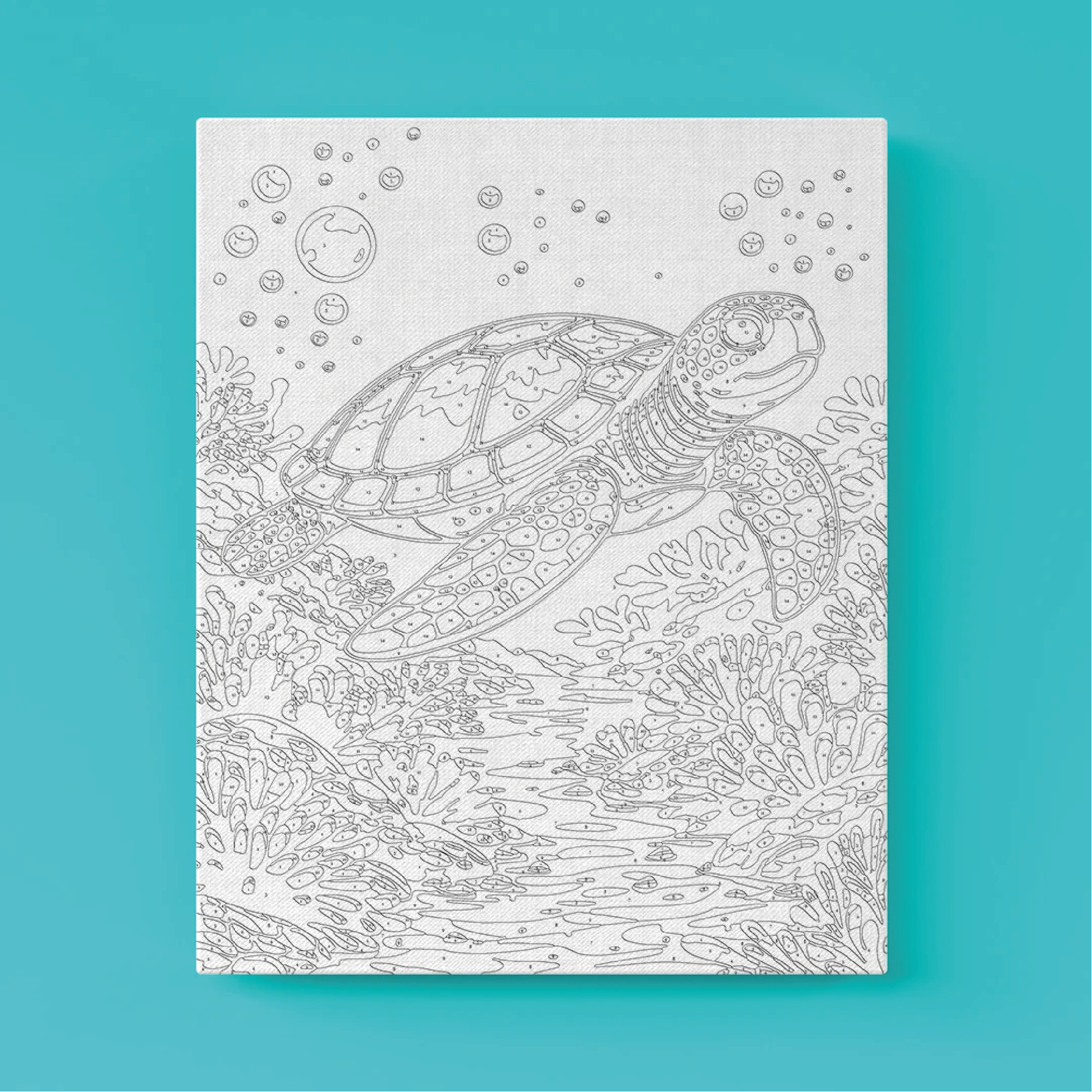 Kit Números – Tortuga Marina– Realista 2