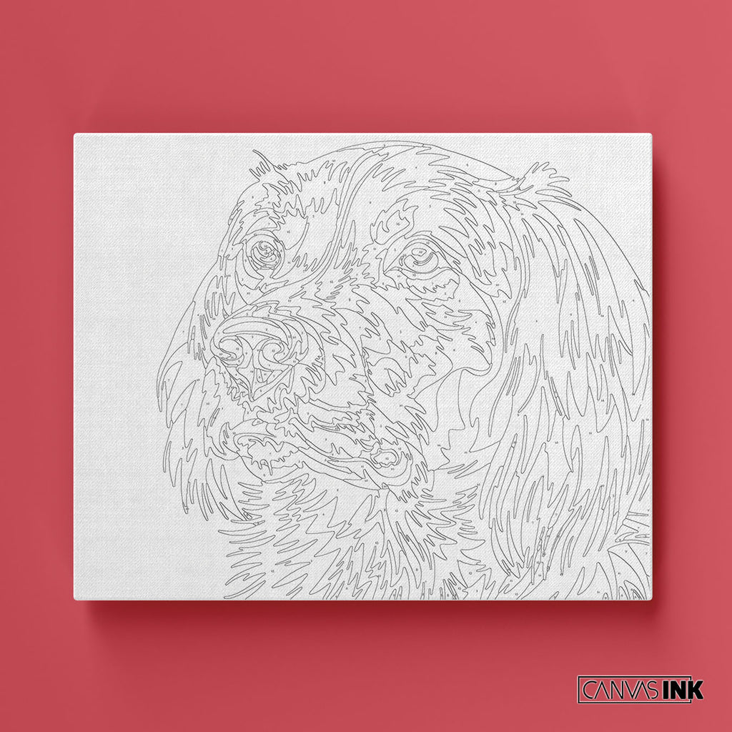 Perro - Kit Números – Números