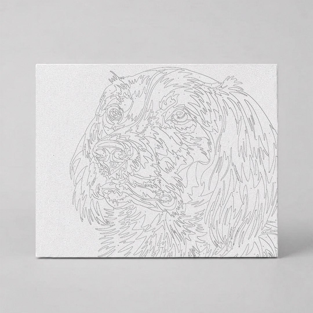 Kit Números – Perro – Abstracto