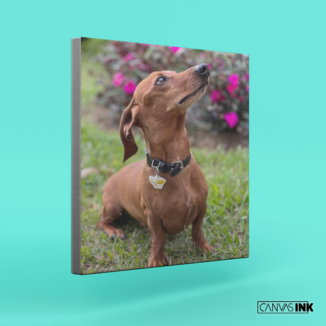 Cuadro Personalizado Mascotas