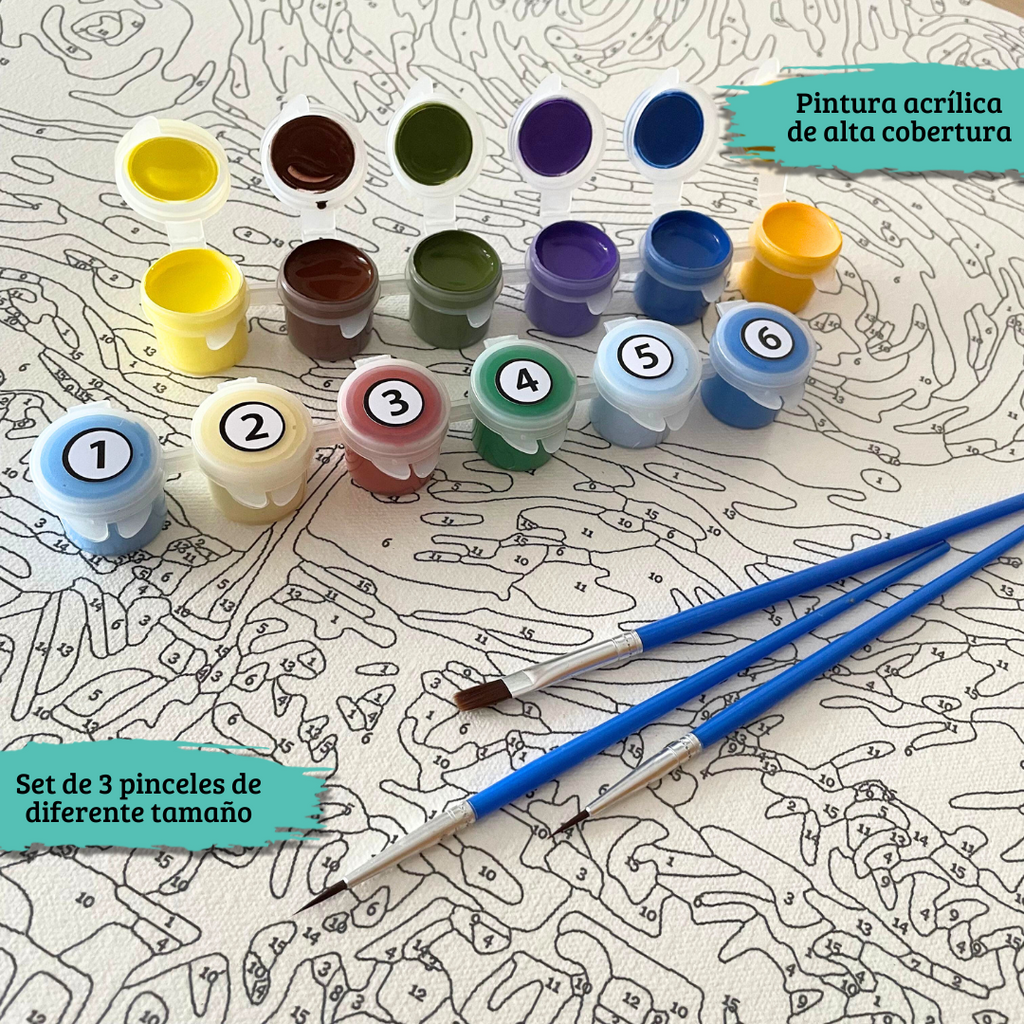 Kit Números – León – Abstracto