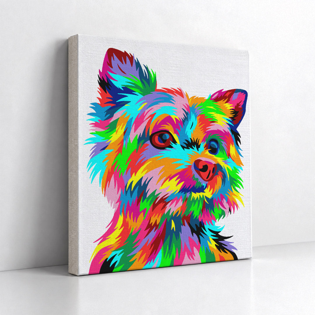 Kit Números – Yorky – Abstracto