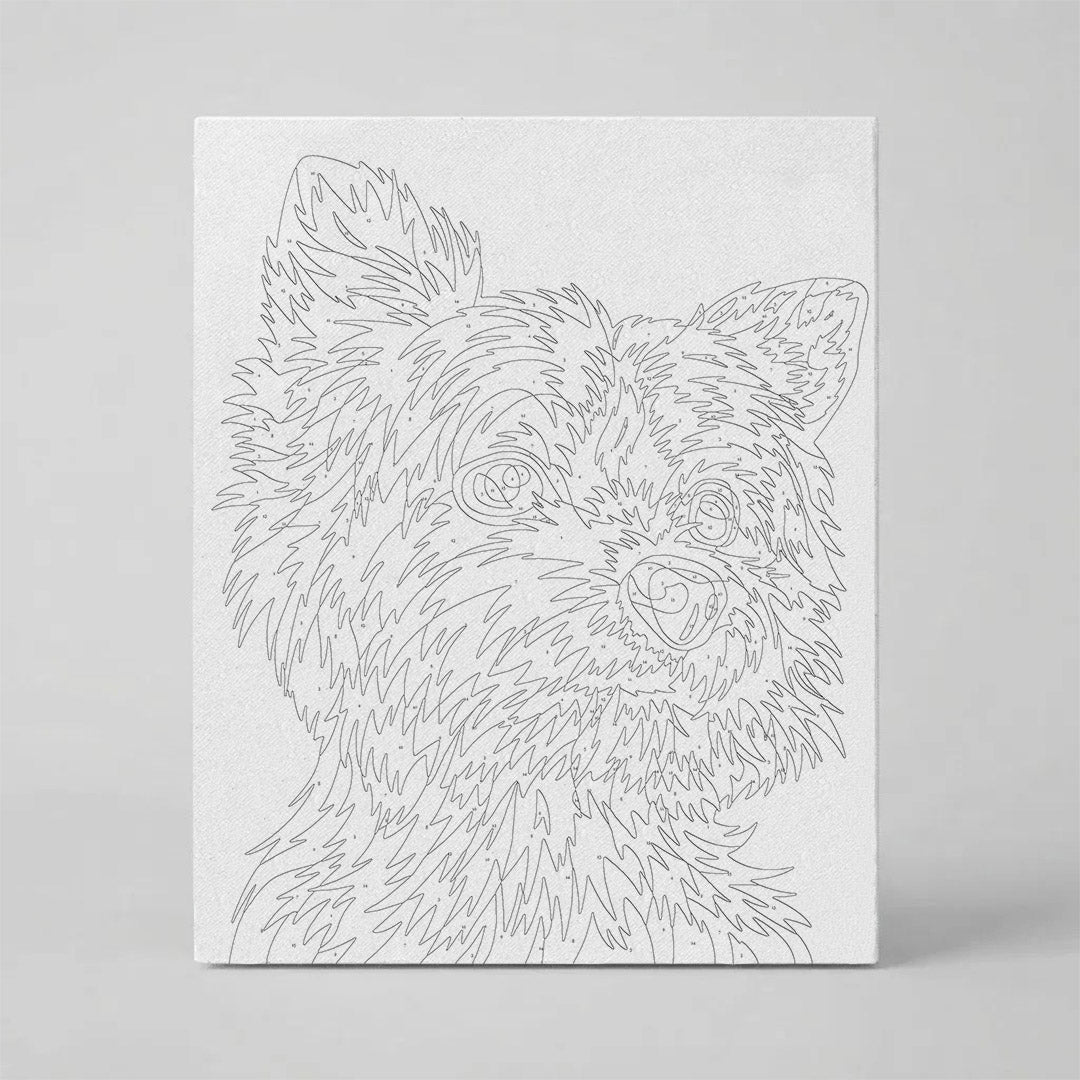 Kit Números – Yorky – Abstracto