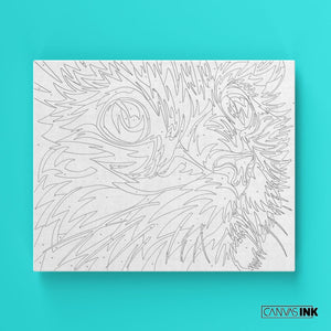 Gato - Kit números - Números