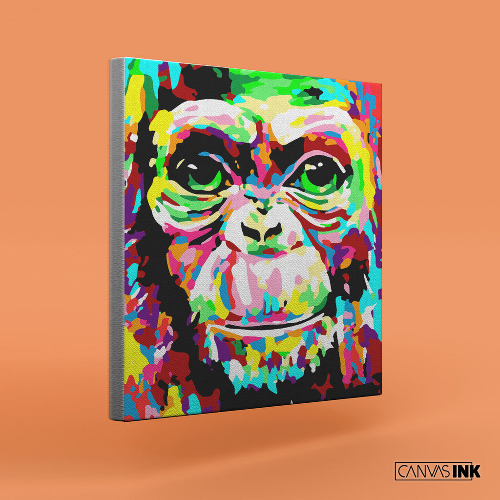 Mono - Kit números - Color